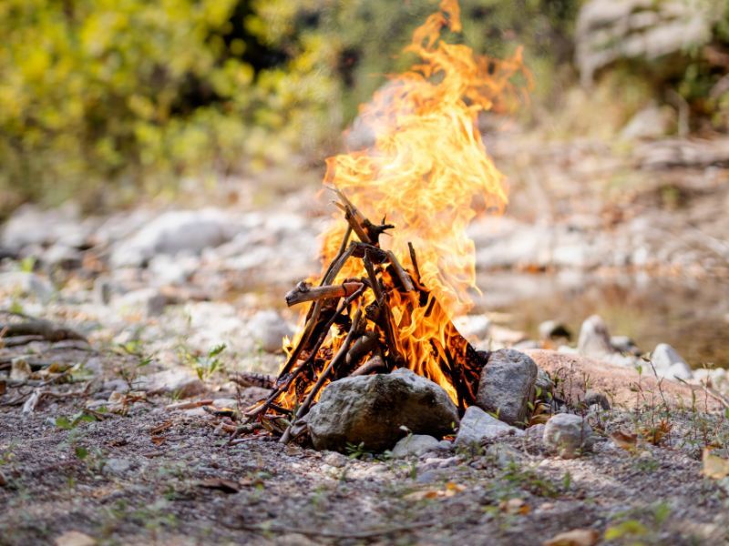 5 conseils pour une tambouille parfaitement grillée sur le feu de camp -  Parcs Blog